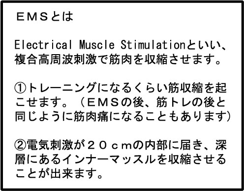 EMSとは