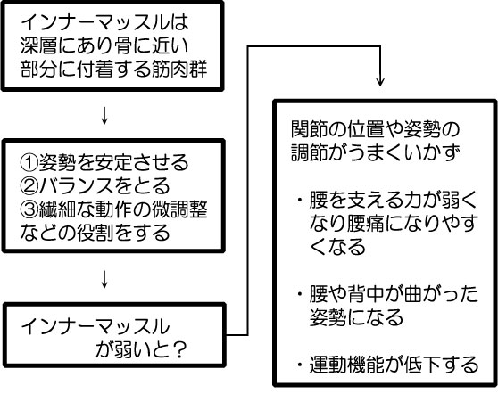 インナーマッスルの役割