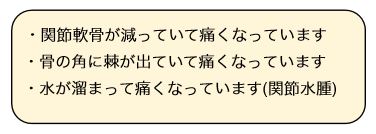 膝関節症の説明