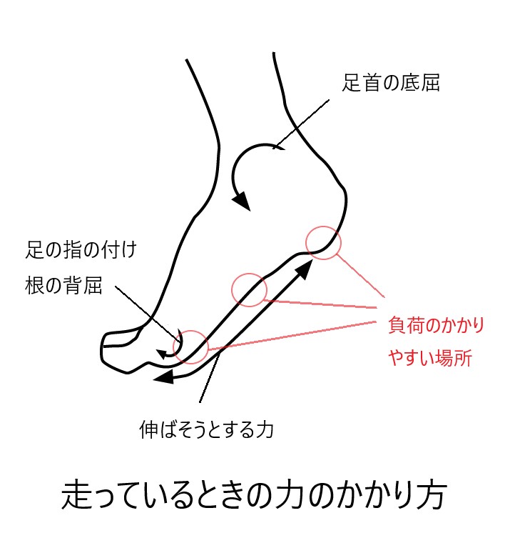 走行時の足底への負荷