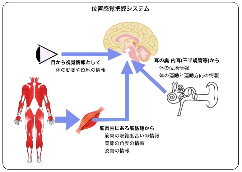 位置感覚システム